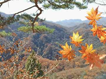 華爾街巨鱷「解封」比特幣，幣價恐將衝破天際？